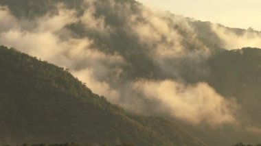 Tayland 'daki Khao Yai Ulusal Parkı' ndaki dağ vadisinden akan sis.
