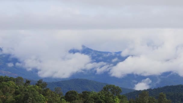 Туман Течет Через Горную Долину Горе Чиангкам Чиангмай Таиланд — стоковое видео