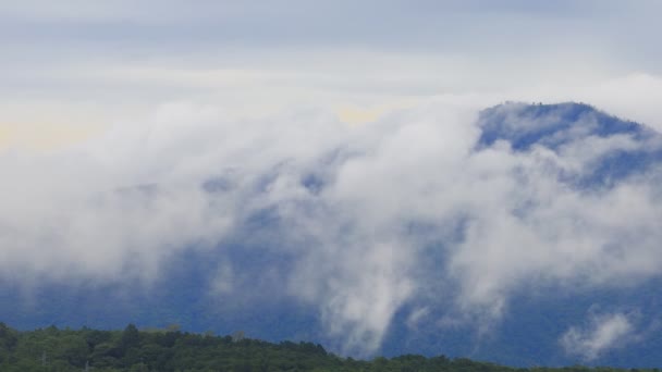 Niebla Que Fluye Través Del Valle Montaña Chiang Kam Mountain — Vídeo de stock