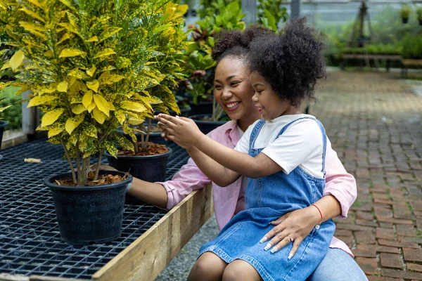 African Mother Daughter Choosing Tropical Ornamental Plant Local Garden Center — Stock Photo, Image