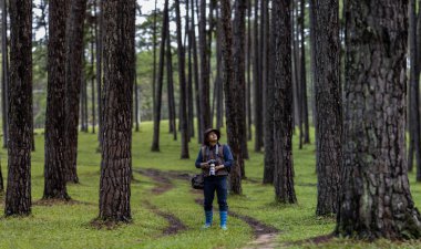 Fotoğrafçı, çam ormanlarında ender bulunan biyolojik çeşitliliği ve alan kullanımını araştırmak ve bulmak için keşfederken kuş türlerini keşfeden yeni kuşların fotoğrafını çekiyor.
