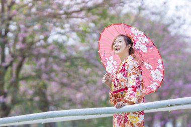 Geleneksel kimono elbiseli Japon kadın. Köprüde şemsiye tutuyor. Bahar Sakura Festivali 'nde kiraz ağacı parkında yürürken.