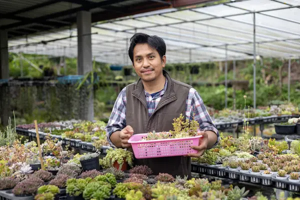 Asyalı Bahçıvan Süs Bahçesi Boş Zaman Hobisi Için Yaprak Kesme — Stok fotoğraf