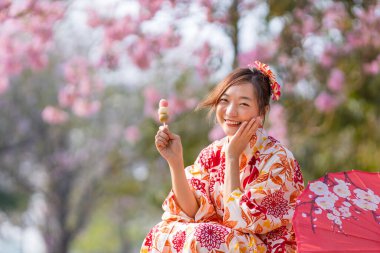 Geleneksel kimono elbiseli Japon kadın elinde tatlı Hanami Dango tatlısıyla bahar Sakura Festivali 'nde kiraz çiçeği ağacında yürürken.