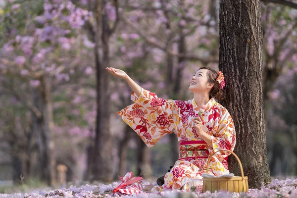 Geleneksel kimono elbiseli Japon kadın elinde tatlı Hanami Dango tatlısıyla bahar Sakura Festivali 'nde kiraz çiçeği ağacında otururken.