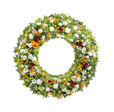 Renkli yaz çelengi, çiçek aranjmanı için kır bahçesinden gül kasımpatılarından oluşur. Romantik ev dekorasyonu ve beyaz arka planda izole edilmiş tebrik kartı kutlaması