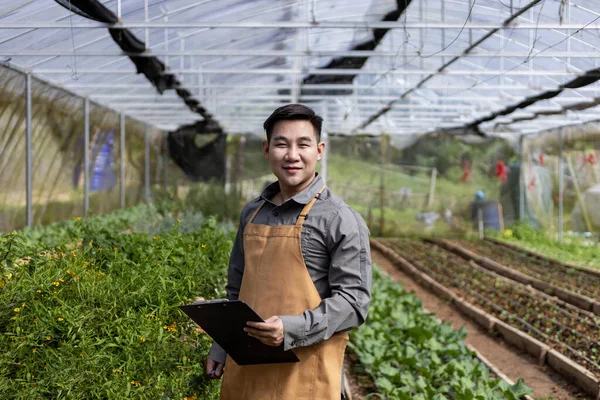 Asiatiska Lokala Jordbrukare Odlar Salladssallad Och Kontrollerar Tillväxttakten Inne Växthuset — Stockfoto