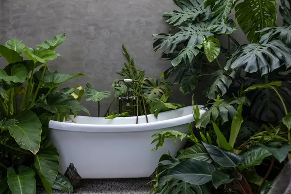 Contemporary Bathroom Plenty Greenery Tropical Rainforest Plants Bathtub Natural Style — Stock Photo, Image