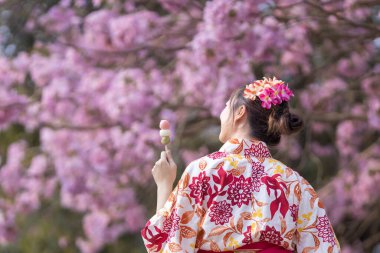 Geleneksel kimono elbiseli Japon kadın elinde tatlı Hanami Dango tatlısıyla bahar Sakura Festivali 'nde kiraz ağacı boyunca parkta yürürken.