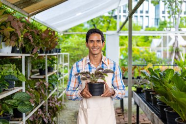 Asyalı ya da Hintli bahçıvanın portresi yaz hobisi ve bahçıvanlık için bitki yetiştirme bahçesinde çalışıyor.