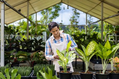 Asyalı ya da Hintli bahçıvan yaz hobisi ve bahçıvanlık için bitki yetiştirme bahçesinde çalışıyor.
