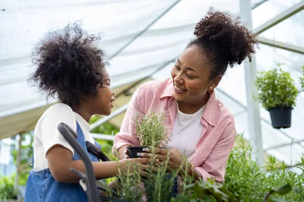 African Mother Daughter Choosing Vegetable Herb Plants Local Garden Center — Stock Photo, Image