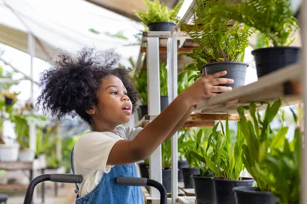 Молодой Афроамериканец Выбирает Тропический Папоротник Декоративное Растение Местного Сада Центра — стоковое фото