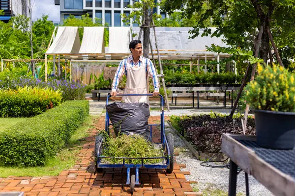 Ασιάτης Κηπουρός Δίνει Την Υπηρεσία Της Λήψης Απορριμμάτων Κήπων Στο — Φωτογραφία Αρχείου