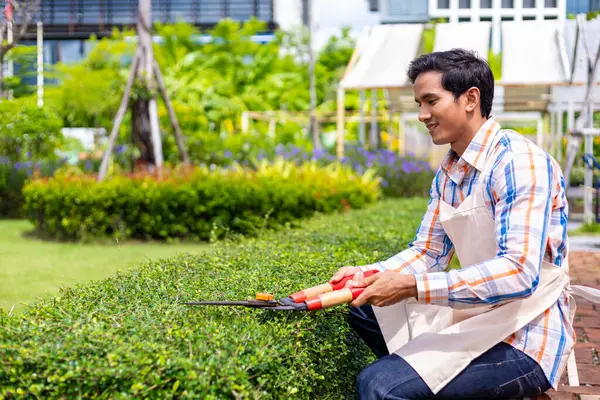 Asian Gardener Giving Service Trimming Bush Hedge Summer While Working — Stock Photo, Image