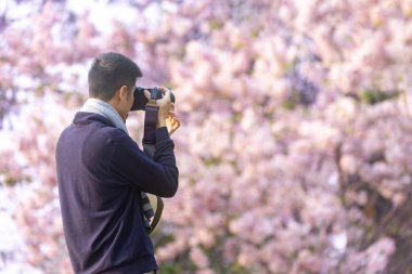 Asyalı adam, bahar Sakura festivali sırasında kiraz ağacının yanında yürürken fotoğraf çekiyor.