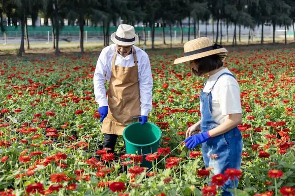 Agricultor Asiático Floristería Está Trabajando Granja Mientras Que Colocación Fertilizante —  Fotos de Stock