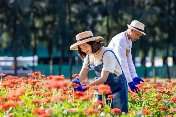 Equipo Granjeros Floristas Asiáticos Está Trabajando Granja Mientras Corta Flores —  Fotos de Stock