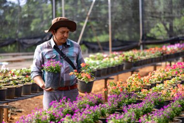 Genç Asyalı bahçıvan, hafta sonu bahçe ve açık hava hobisi için yaz bitkileriyle dolu yerel bahçe merkezinden çiçek yetiştirme tesisini seçiyor.
