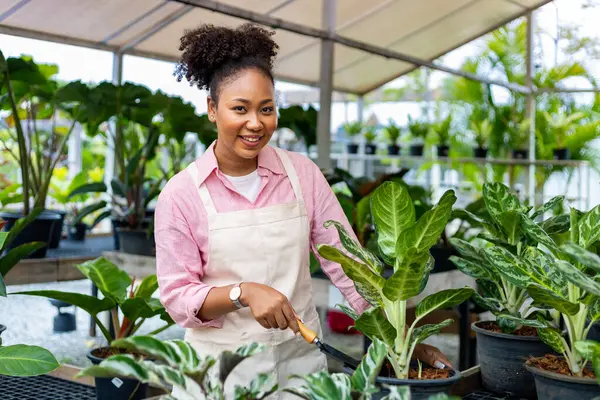 African Woman Gardener Tending Her Exotic Plant Plant Greenhouse Rainforest — Stock Photo, Image