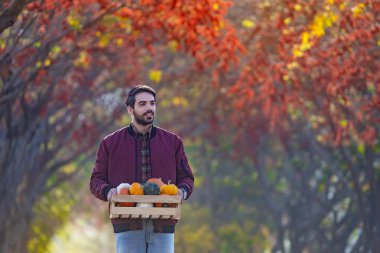 Mutlu Kafkasyalı çiftçi güz mevsiminde akçaağaç ve kayın ağacından dökülen sonbahar renginde kır yolunda yürürken kabak ve balkabağı ile sebze hasadı taşır.