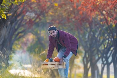 Mutlu Kafkasyalı çiftçi güz mevsiminde akçaağaç ve kayın ağacından dökülen sonbahar renginde kır yolunda yürürken kabak ve balkabağı ile sebze hasadı taşır.