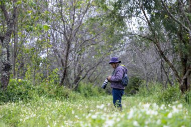 Fotoğrafçı, orman ormanlarını keşfederken, ender bulunan biyolojik çeşitliliği ve alan araştırmaları için yabani çiçek çayırlarıyla fotoğraf çekiyor.