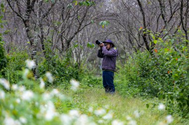Fotoğrafçı, orman ormanlarını keşfederken, ender bulunan biyolojik çeşitliliği ve alan araştırmaları için yabani çiçek çayırlarıyla fotoğraf çekiyor.
