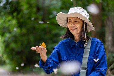 Asyalı biyologlar, tropikal yağmur ormanlarında yaz mevsiminde tuz ve mineralleri emen çamur birikintisi fenomenleri üzerine orman alanında veri topluyor.