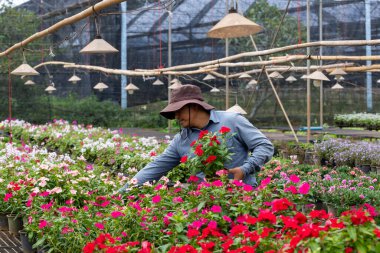 Young Asian gardener is choosing flowering plant from local garden center nursery full of summer plant for weekend gardening and outdoor hobby clipart