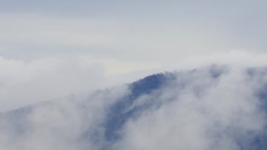 Chiang Kam Dağı 'ndaki dağ vadisinden akan sis, Chiangmai, Tayland