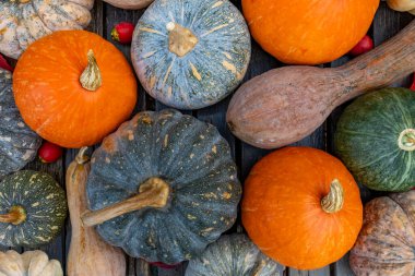 Organik balkabaklarıyla, kabaklarıyla ve kabaklarıyla şükran günü ve sonbahar tarım sezonu için ahşap sepetin içindeki çeşitli sonbahar hasadının en iyi görüntüsü.