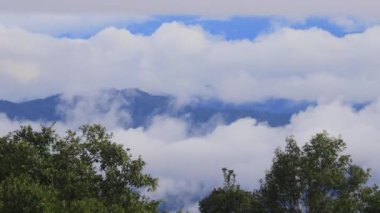 Chiang Kam Dağı 'ndaki dağ vadisinden akan sis, Chiangmai, Tayland
