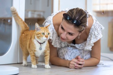 Kedi sahibi kızıl kedisiyle sevgi ve özenle oynuyor. Onu bakıcısının yatılı servisi ve hayat boyu yoldaşı olan arkadaşı için hayvan barınağından kurtardıktan sonra.