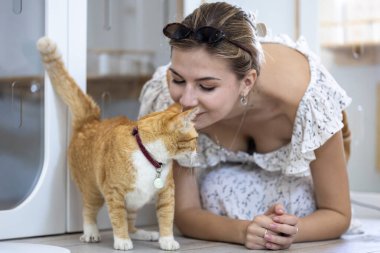 Kedi sahibi, kedi bakıcısının yatılı servisi ve hayat arkadaşı konsepti için onu barınaktan kurtardıktan sonra kızıl kedisini sevgiyle öpüyor ve ona sarılıyor.