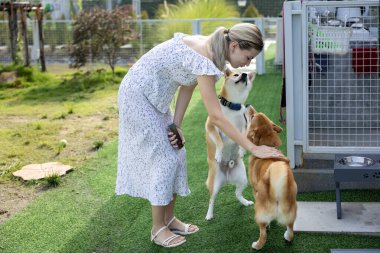 Beyaz bir kadın yaz boyunca parkta sevimli enerjik shiba inu köpeğine sarılarak hayvan sever ve evcil hayvan bakıcısı eğitim programına katılıyor.
