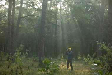 Yeni kuş türlerini keşfeden fotoğrafçı, çam ormanlarında ender bulunan biyolojik çeşitliliği ve alan araştırmaları için araştırma yaparken aynı zamanda ekolojistin fotoğrafını çekiyor.