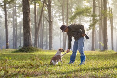 Maceracı, yaz boyunca ormanda evcil köpeğiyle birlikte gezip patikayı ve doğa banyosunu keşfe çıkıyor.