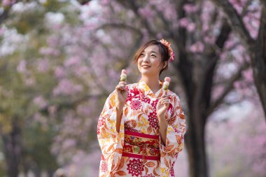 Geleneksel kimono elbiseli Japon kadın elinde tatlı Hanami Dango tatlısıyla bahar Sakura Festivali 'nde kiraz ağacı bahçesinde yürürken.