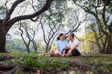 Üst düzey Asyalı çift yaz pikniği yaparken sevgi, uzun ömürlülük ve sağlıklı evlilik ilişkisi kavramı için el ele tutuşuyorlar.