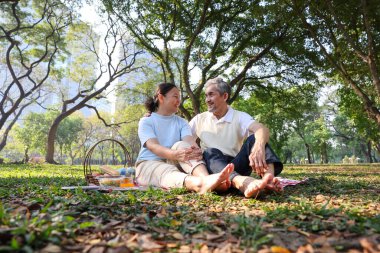 Üst düzey Asyalı çift yaz pikniği yaparken sevgi, uzun ömürlülük ve sağlıklı evlilik ilişkisi kavramı için el ele tutuşuyorlar.