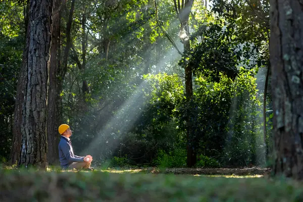 İnsan rahat bir şekilde çam ormanında meditasyon yapar. Sağlıklı akıl ve ruh için güneş ışığıyla iç huzuru ve bilgeliği elde etmek için.