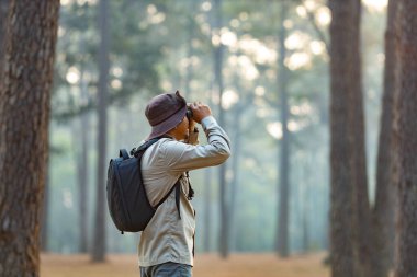Kuş gözlemcisi, çam ormanlarında araştırma yaparken dürbünle dürbünü inceliyor ve alan araştırmalarındaki nadir biyolojik çeşitliliği ve ekolojisti keşfediyor.