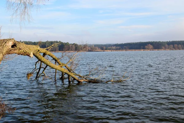   Landscape photo of the lake