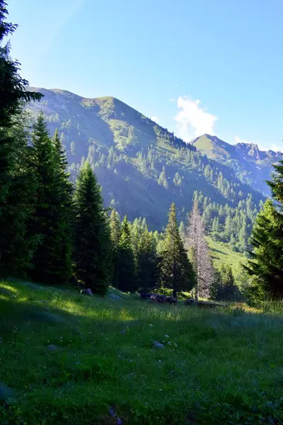 Alp dağlarının muhteşem manzarası