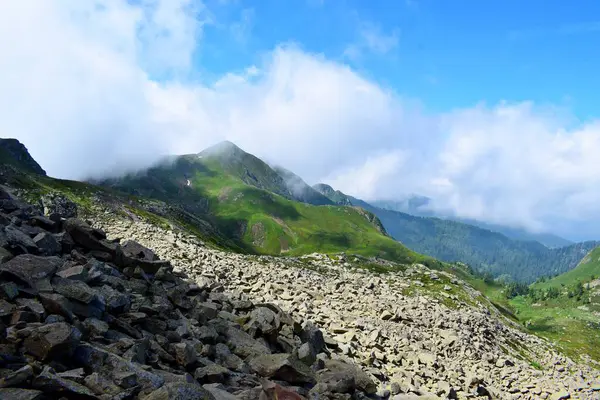 Alp dağları bulutlarda