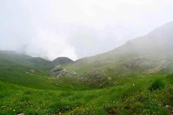 Alp dağları bulutlarda