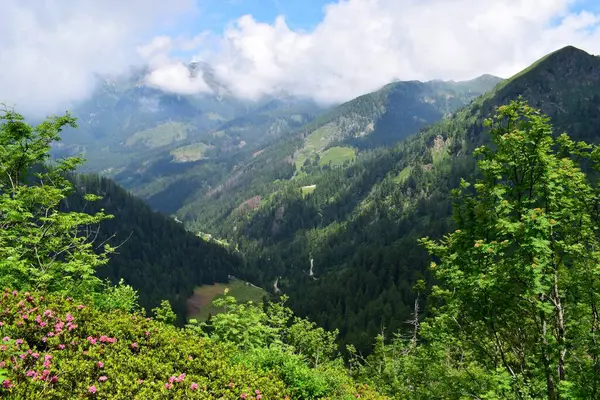 Alplerde güzel sahne
