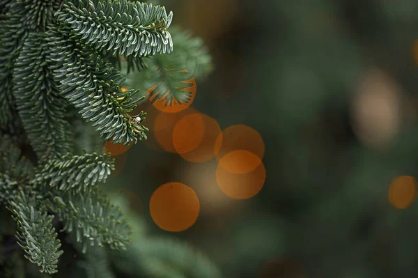 stock image Full Frame Shot Of Illuminated Christmas decorations on Christmas tree against defocused bokeh background. Winter Holidays Concept