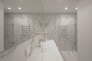 Modern minimalist beyaz banyo iç tasarımı mermer tarzı fayanslar, beyaz musluklar, vazo ve duvar ısıtıcısı